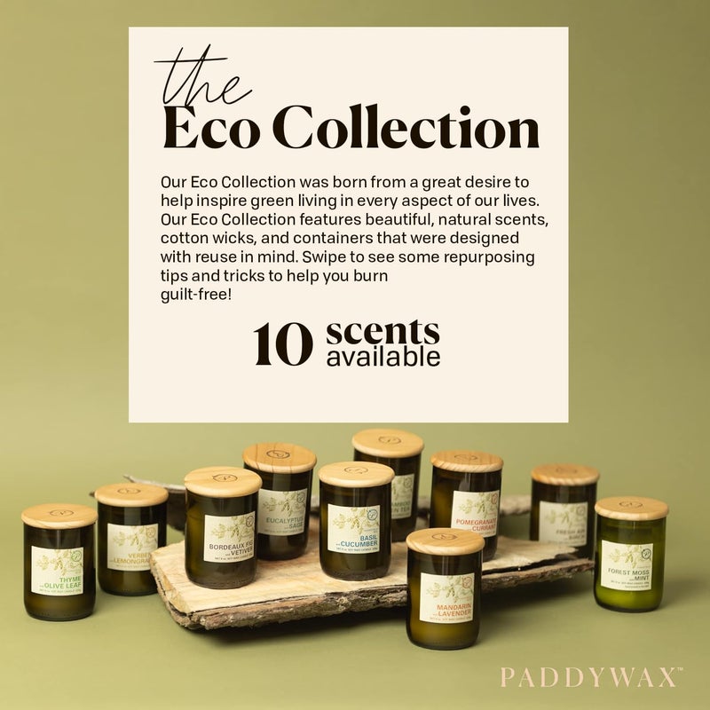 Paddywax Eco Collection Scented Soy Wax Jar Candle  8-Ounce  Bordeaux Fig & Vetiver - Image 4